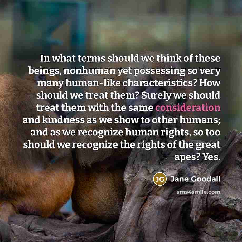 “In what terms should we think of these beings, nonhuman…” quote by Jane Goodall