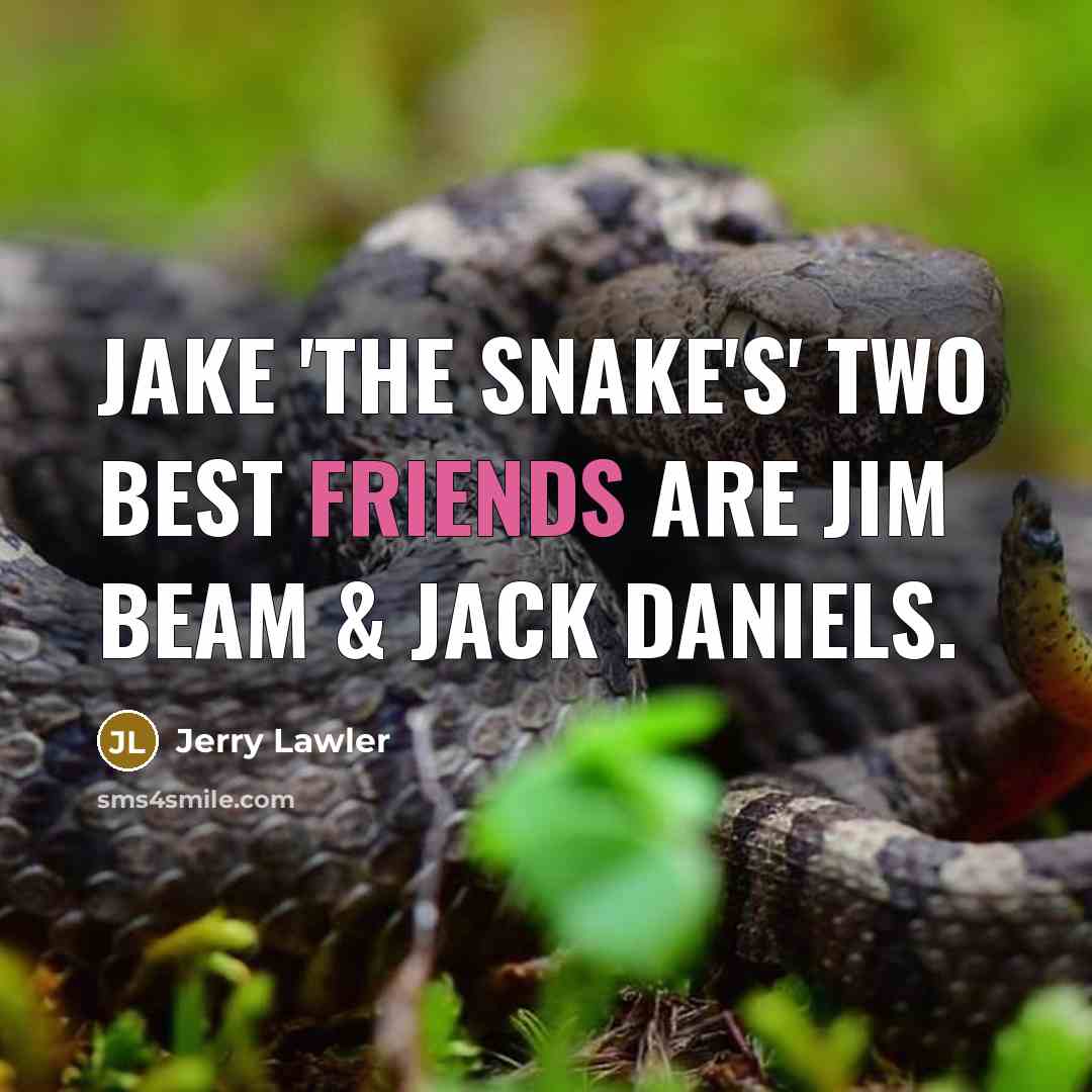 “Jake 'The Snake's' two best friends are Jim Beam &…” quote by Jerry Lawler