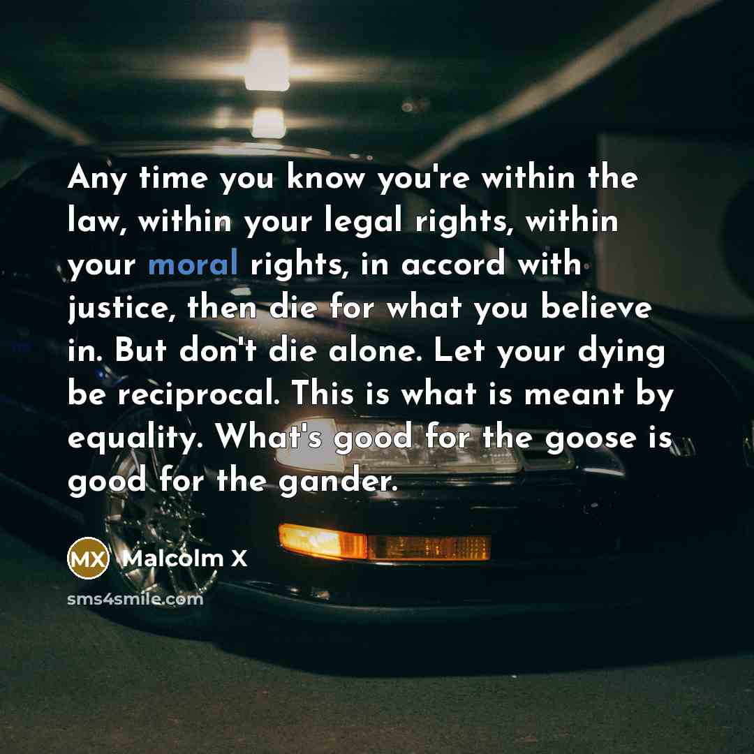 “Any time you know you're within the law, within your…” quote by Malcolm X