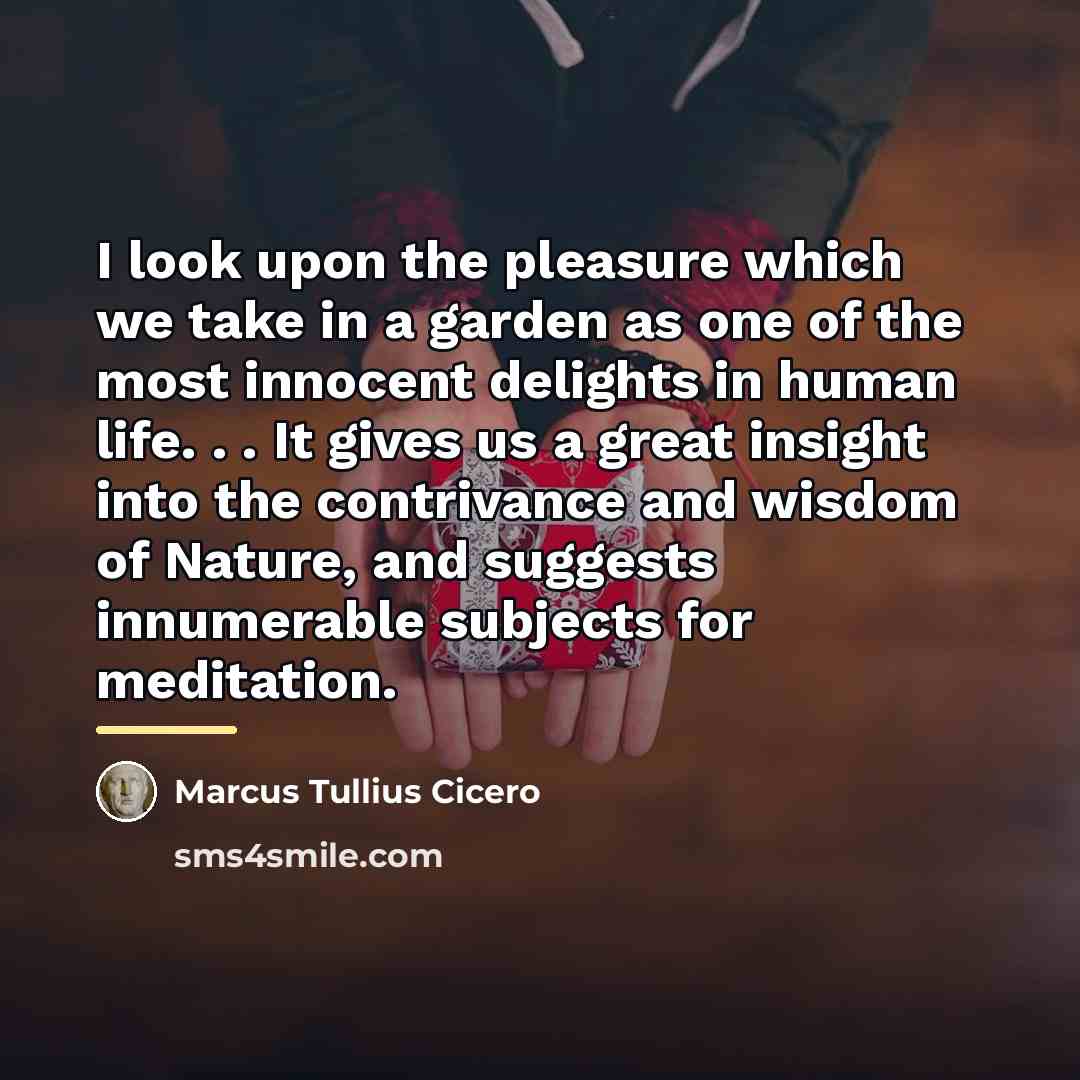 “I look upon the pleasure which we take in a…” quote by Marcus Tullius Cicero