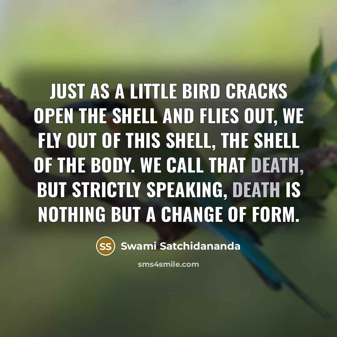 “Just as a little bird cracks open the shell and…” quote by Swami Satchidananda