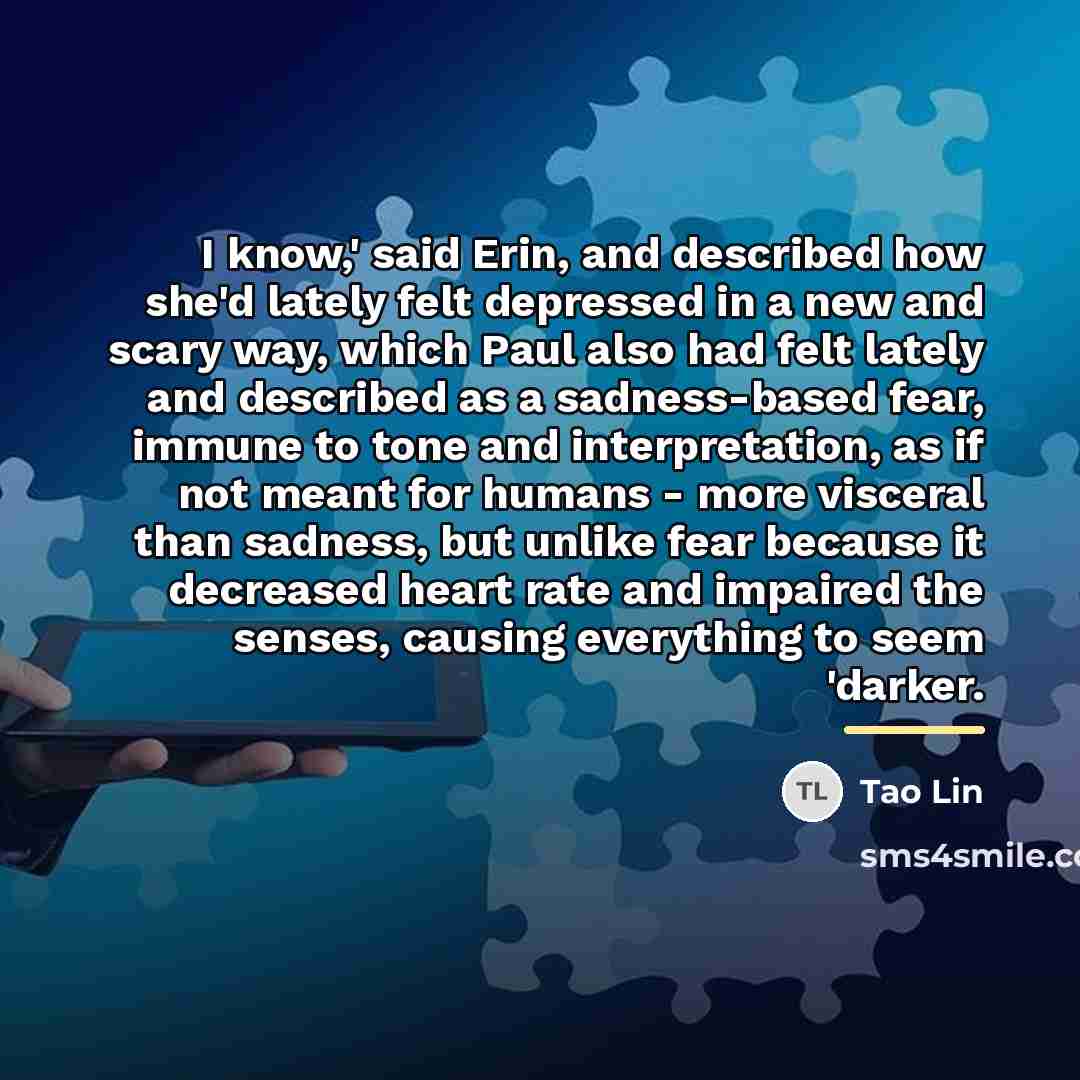 “I know,' said Erin, and described how she'd lately felt…” quote by Tao Lin