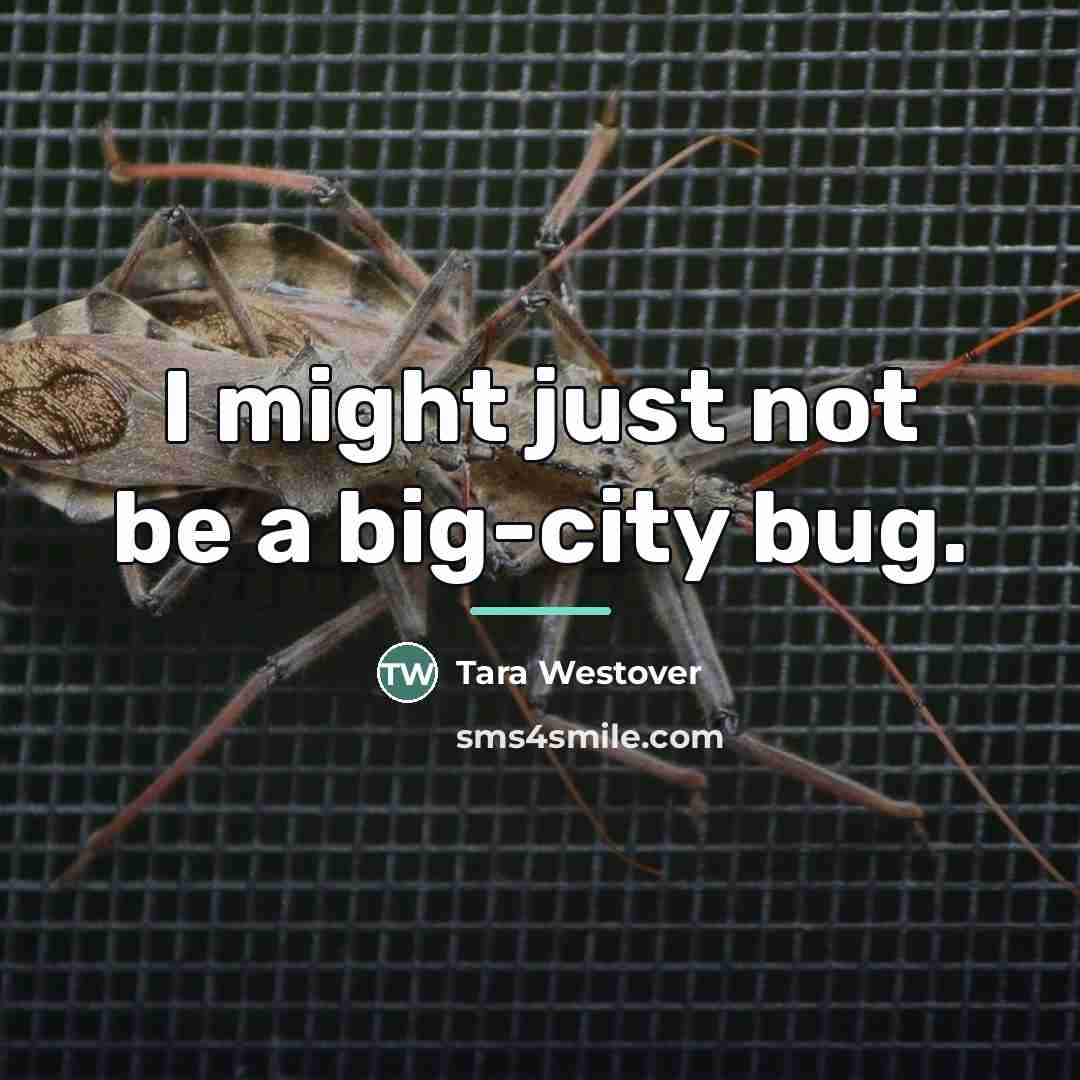 “I might just not be a big-city bug.…” quote by Tara Westover