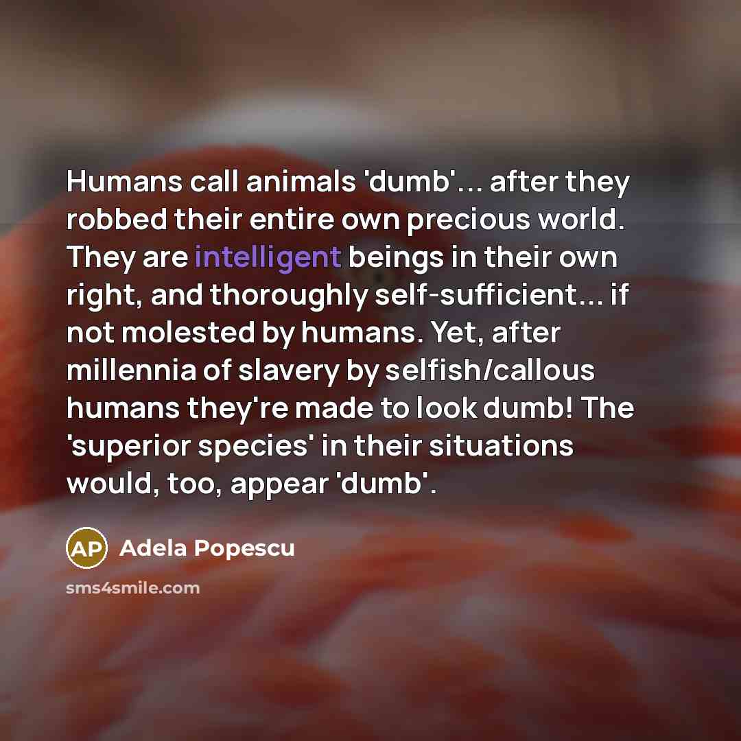 “Humans call animals 'dumb'... after they robbed their entire own…” quote by Adela Popescu