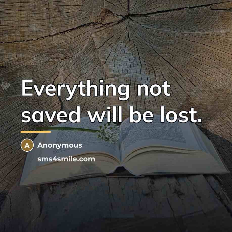 “Everything not saved will be lost.…” quote by Anonymous