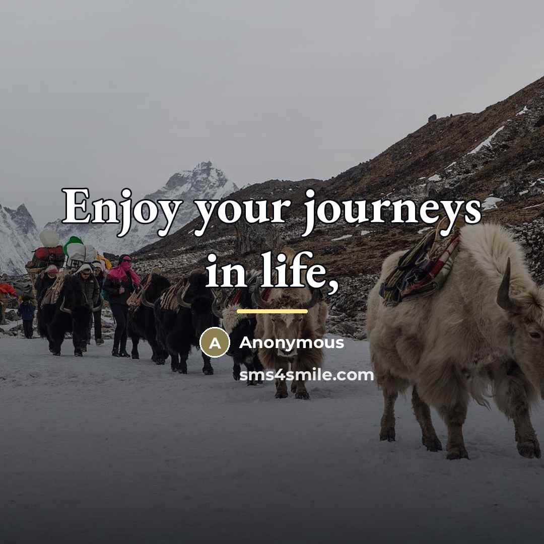 “Enjoy your journeys in life,…” quote by Anonymous