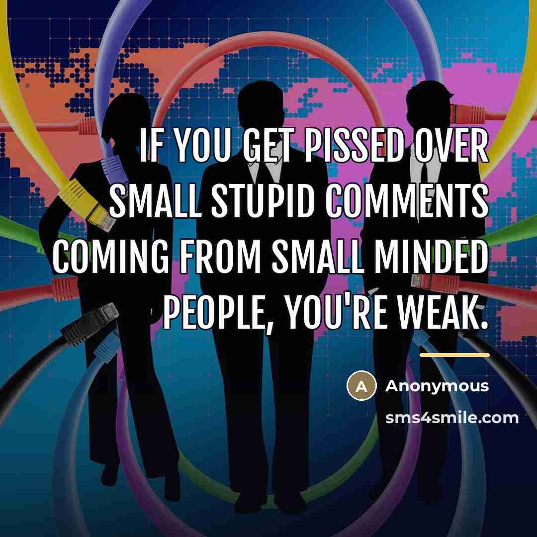 “If you get pissed over small stupid comments coming from…” quote by Anonymous