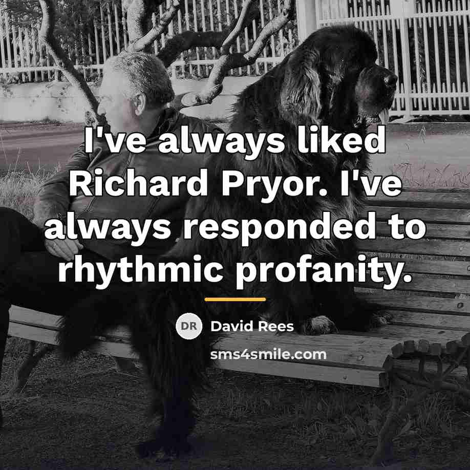 “I've always liked Richard Pryor. I've always responded to rhythmic…” quote by David Rees