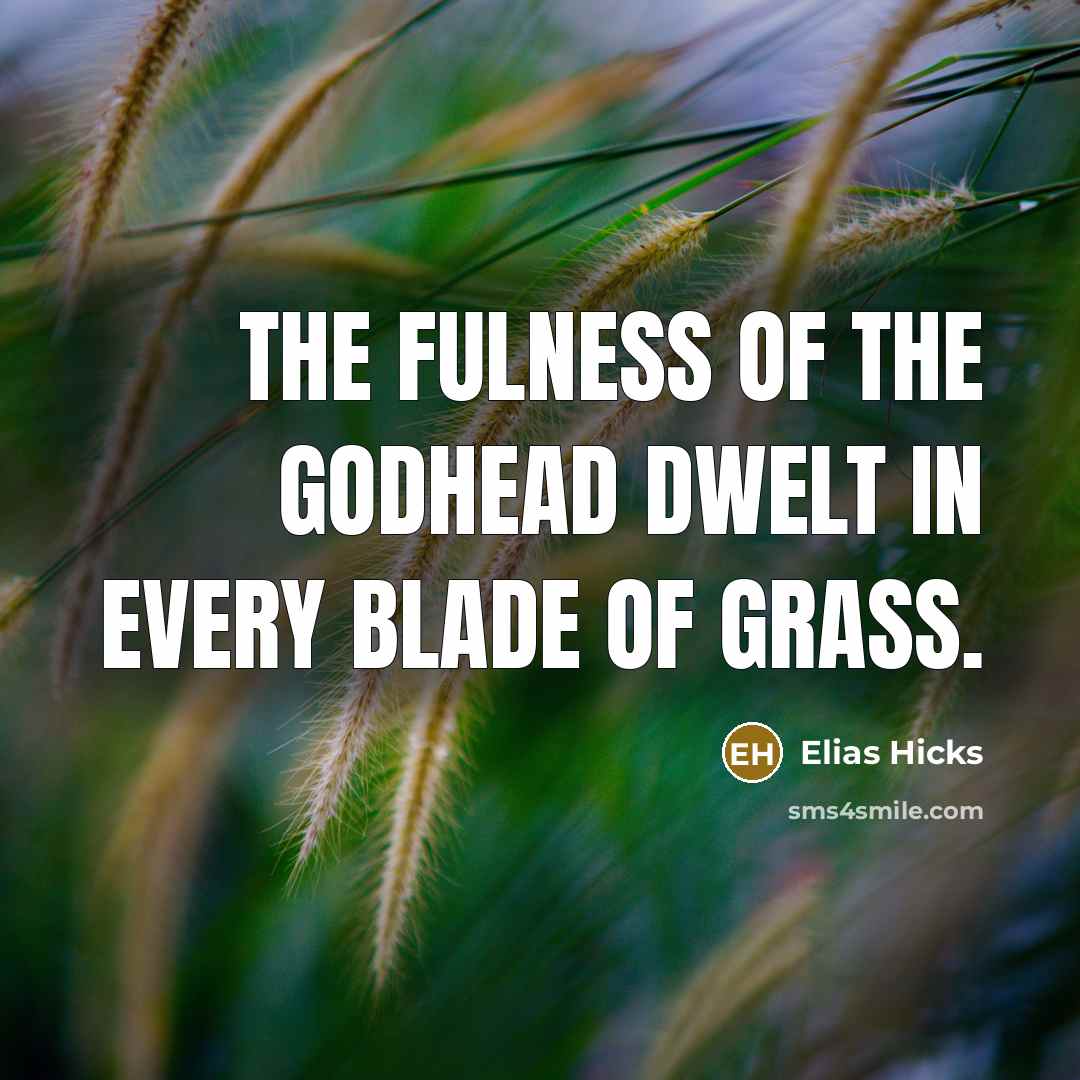 “The fulness of the godhead dwelt in every blade of…” quote by Elias Hicks