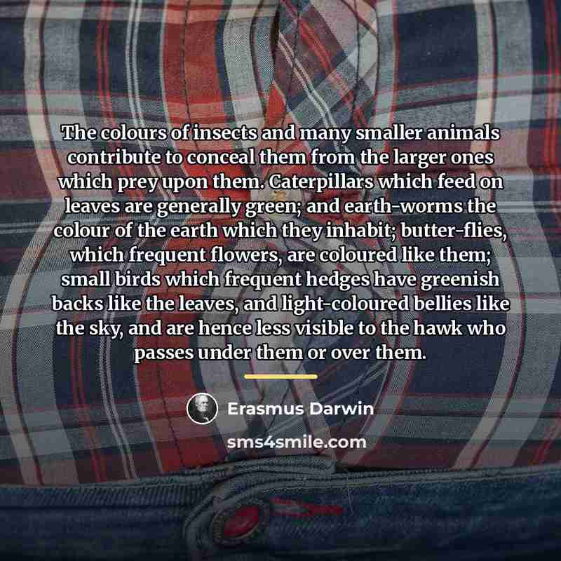 “The colours of insects and many smaller animals contribute to…” quote by Erasmus Darwin