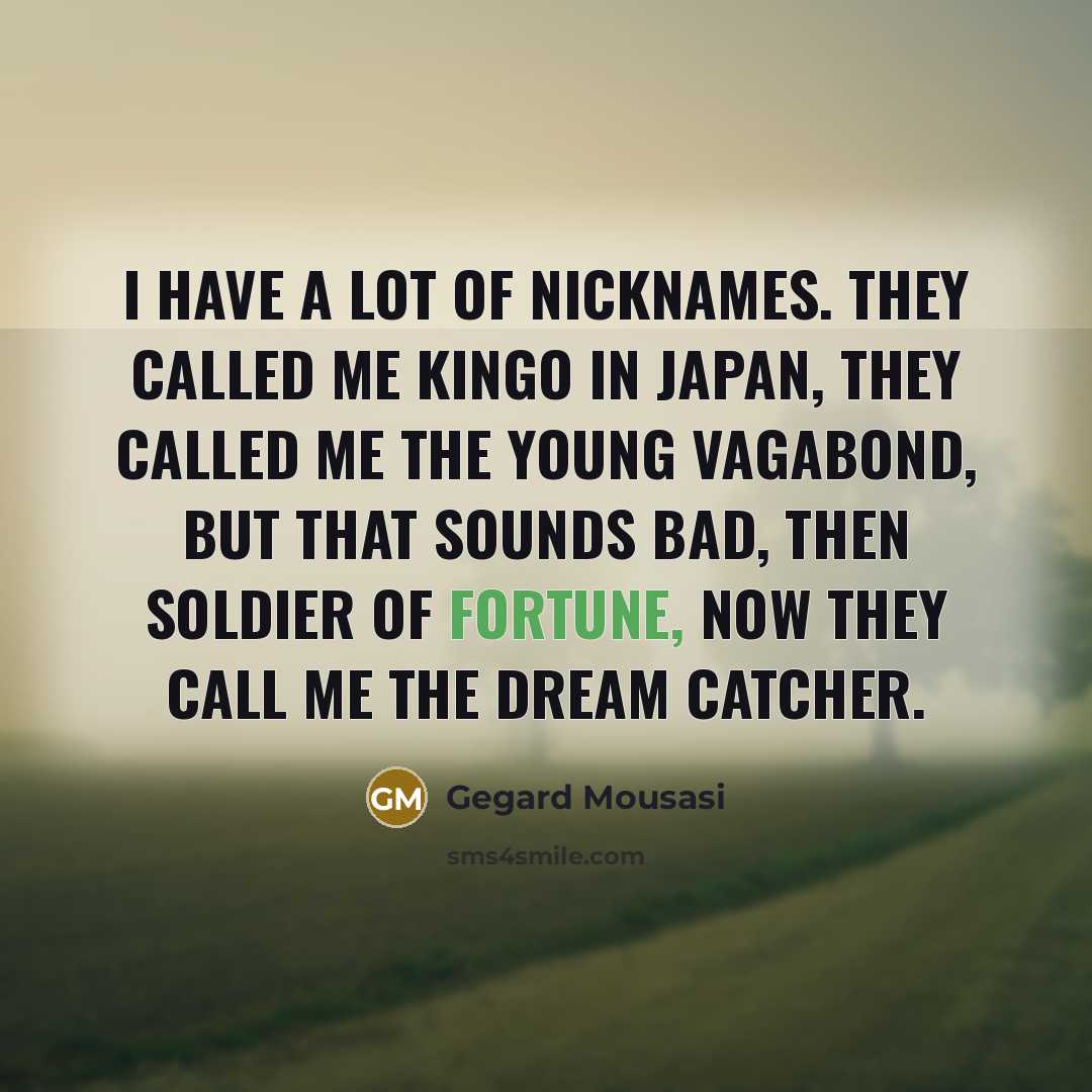 “I have a lot of nicknames. They called me Kingo…” quote by Gegard Mousasi