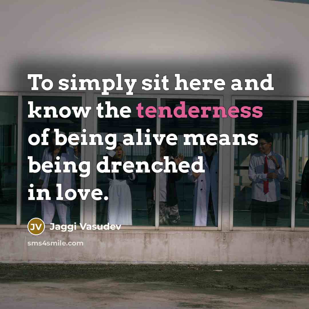 “To simply sit here and know the tenderness of being…” quote by Jaggi Vasudev