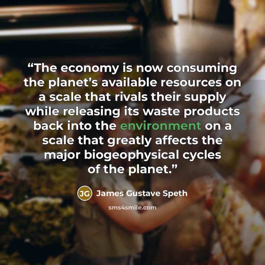 “The economy is now consuming the planet’s available resources on a scale that rivals their supply while releasing its waste products back into the environment on a scale that greatly affects the major biogeophysical cycles of the planet.” quote by James Gustave Speth