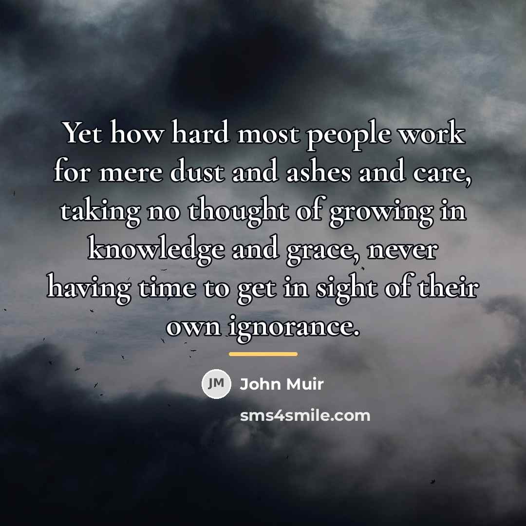“Yet how hard most people work for mere dust and…” quote by John Muir