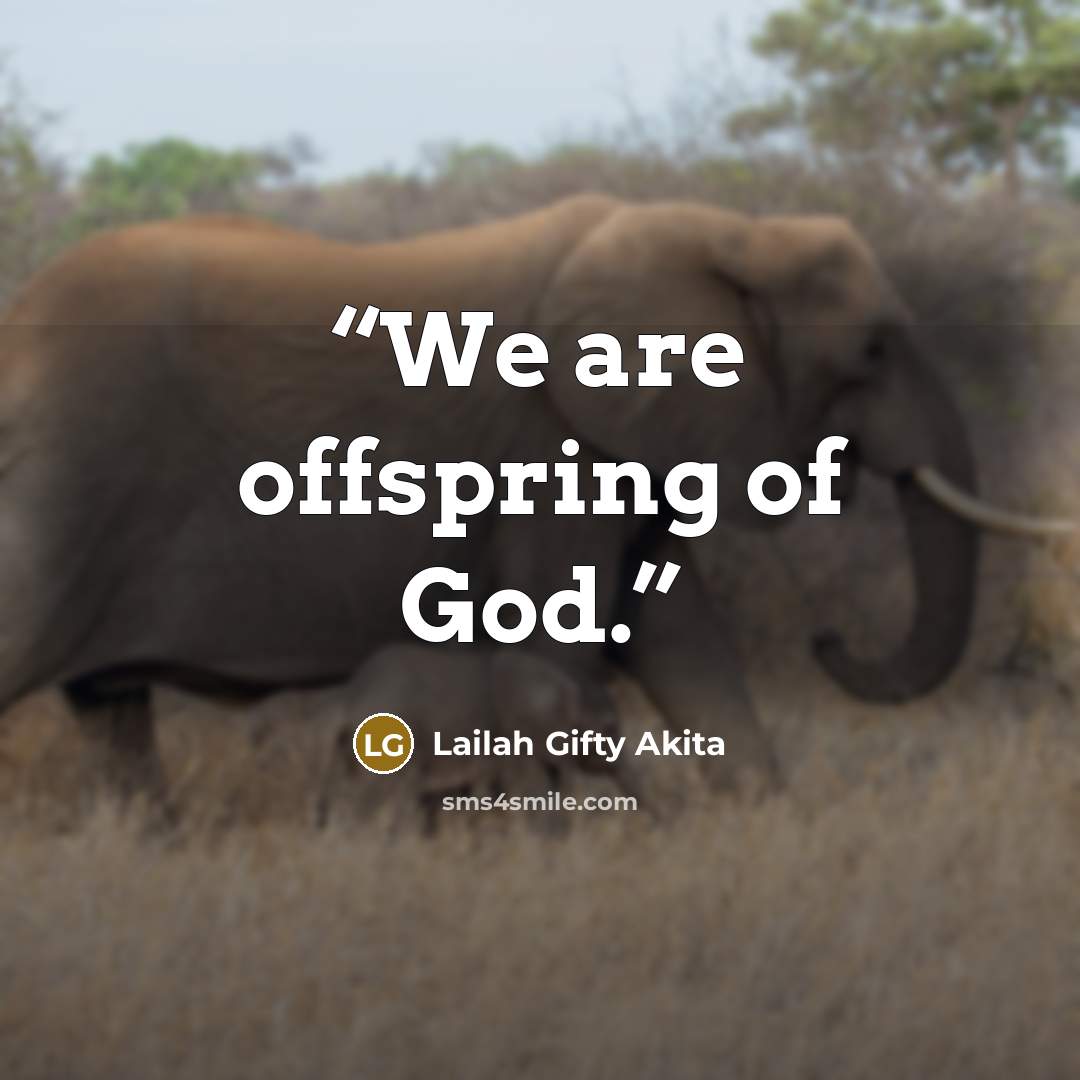 “We are offspring of God.” quote by Lailah Gifty Akita