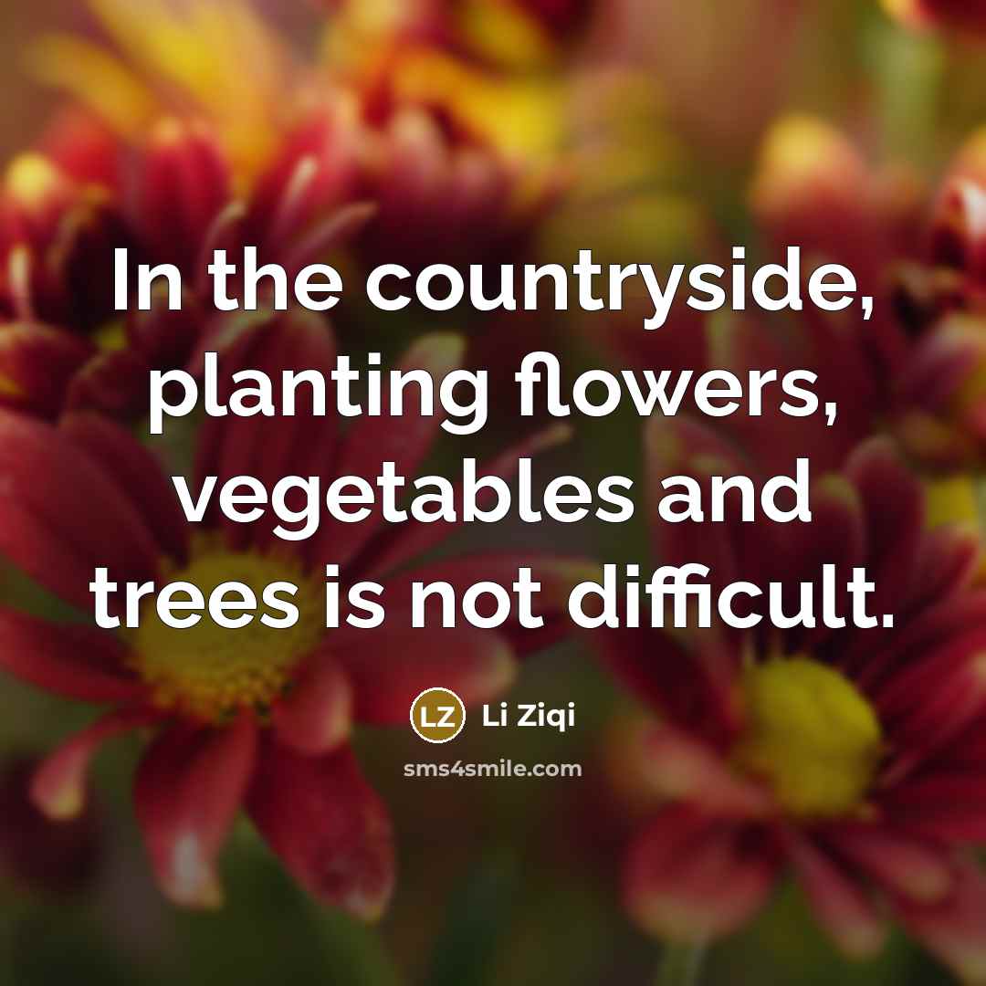 “In the countryside, planting flowers, vegetables and trees is not…” quote by Li Ziqi
