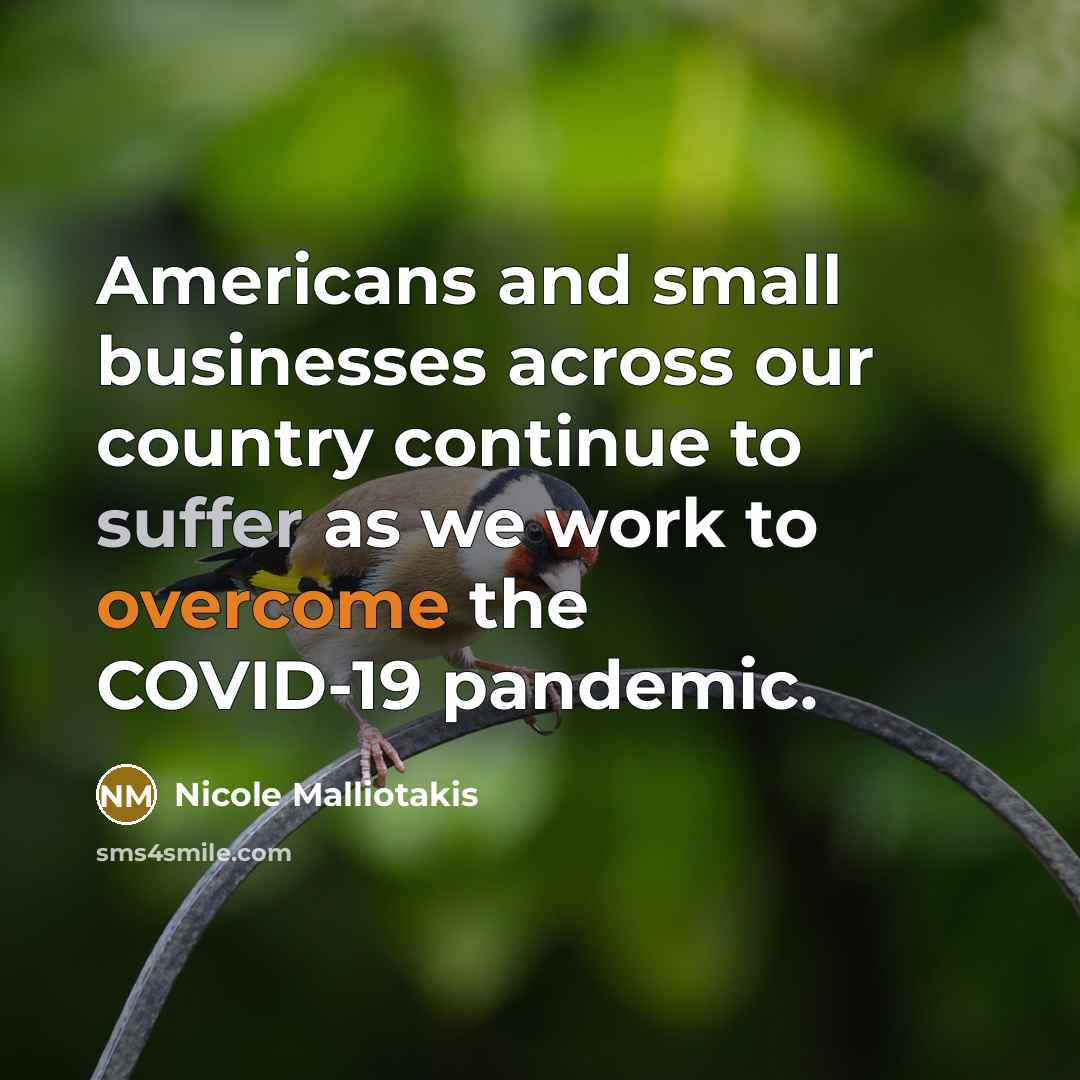 “Americans and small businesses across our country continue to suffer…” quote by Nicole Malliotakis