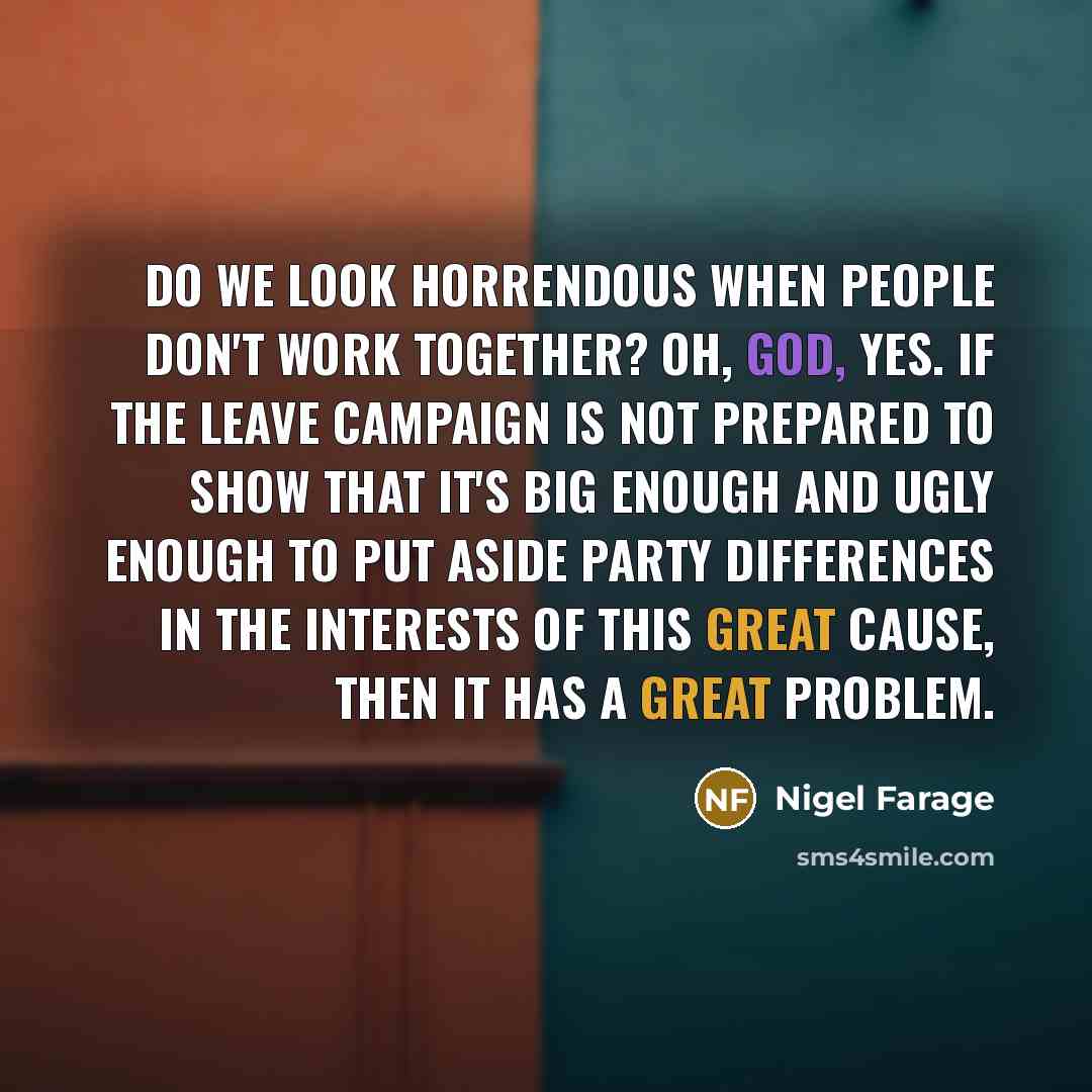 “Do we look horrendous when people don't work together? Oh, God, yes. If the leave campaign is not prepared to show that it's big enough and ugly enough to put aside party differences in the interests of this great cause, then it has a great problem.” quote by Nigel Farage