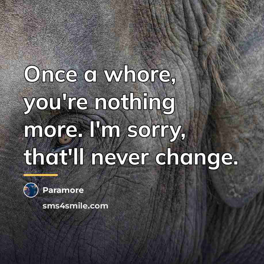 “Once a whore, you're nothing more. I'm sorry, that'll never…” quote by Paramore
