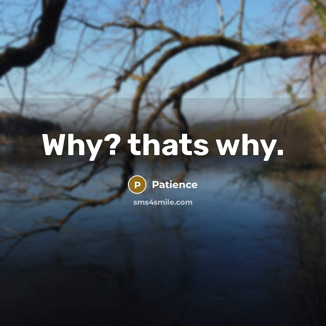 “Why? thats why.” quote by Patience