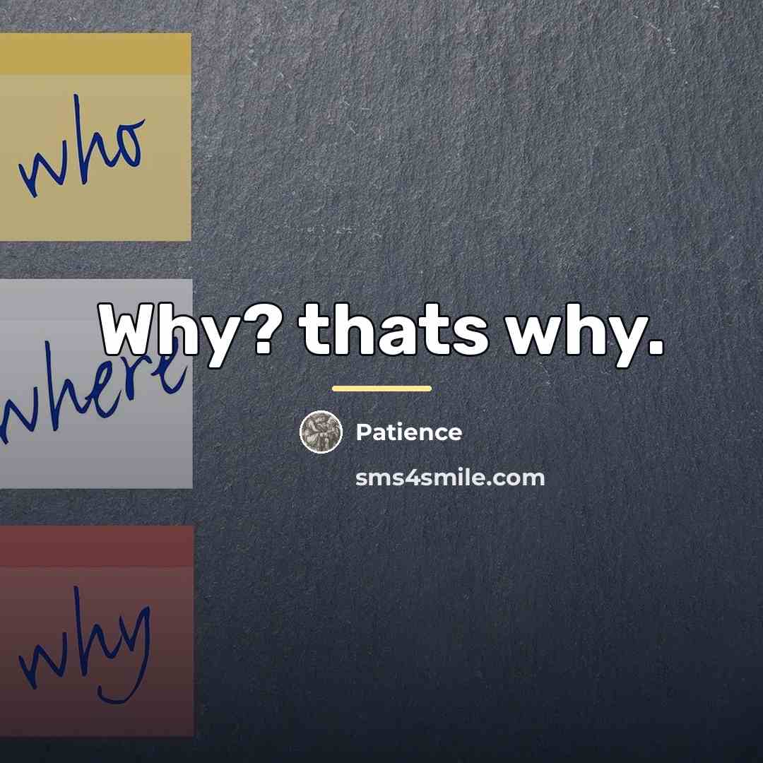 “Why? thats why.…” quote by Patience