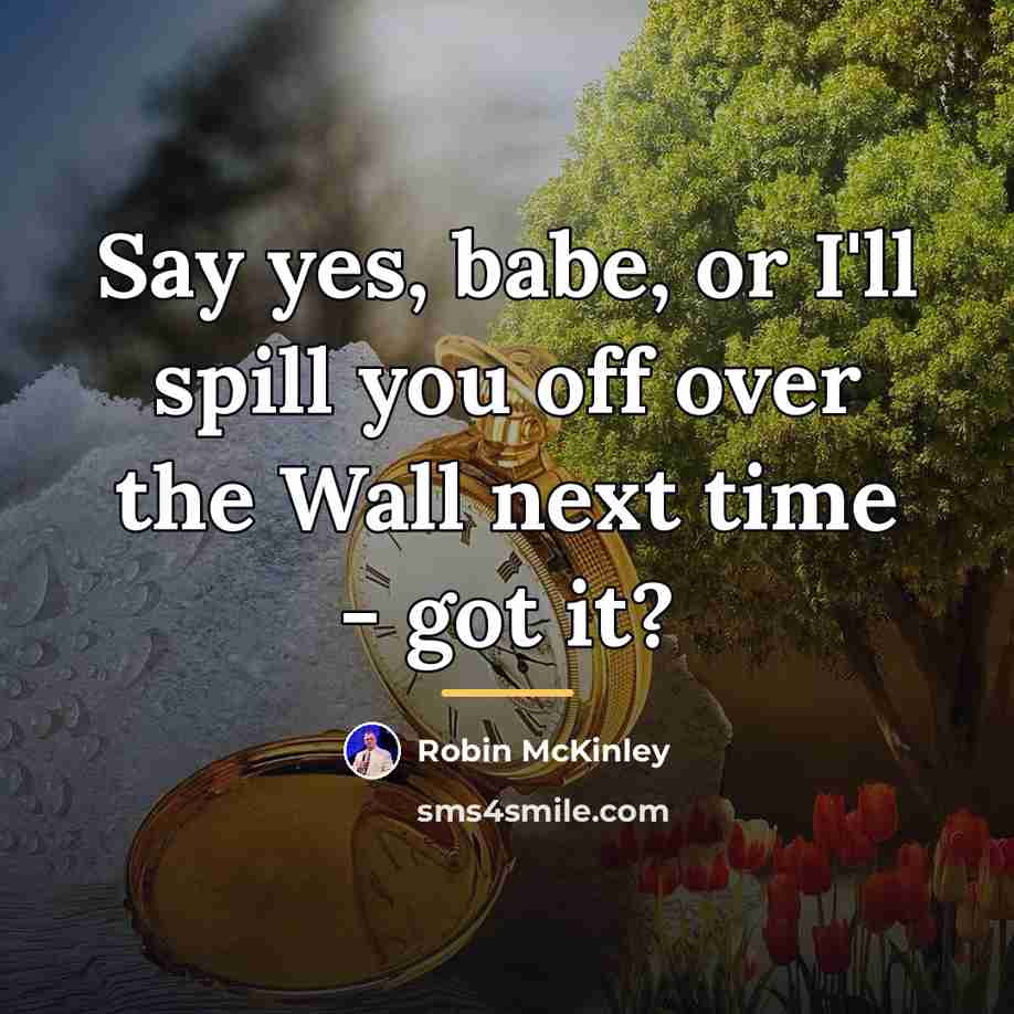 “Say yes, babe, or I'll spill you off over the…” quote by Robin McKinley