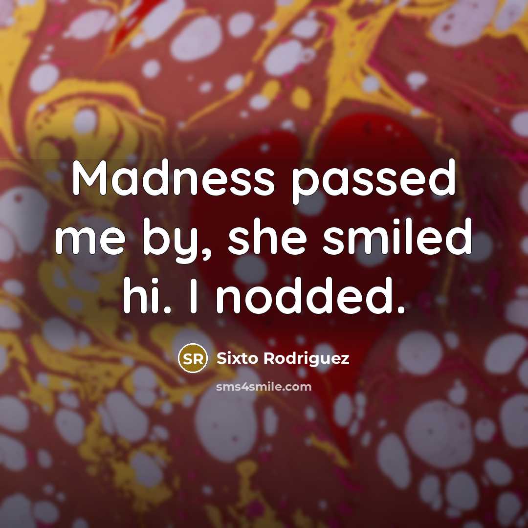 “Madness passed me by, she smiled hi. I nodded.…” quote by Sixto Rodriguez