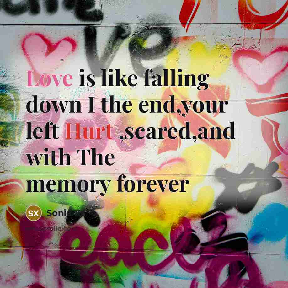 “Love is like falling down I the end,your left Hurt ,scared,and with The memory forever” quote by Sonia Xx