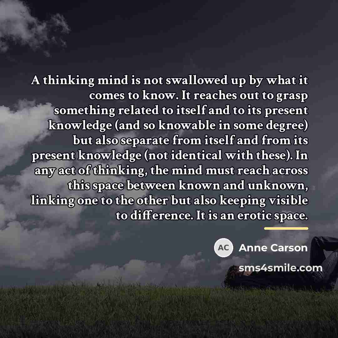 “A thinking mind is not swallowed up by what it…” quote by Anne Carson