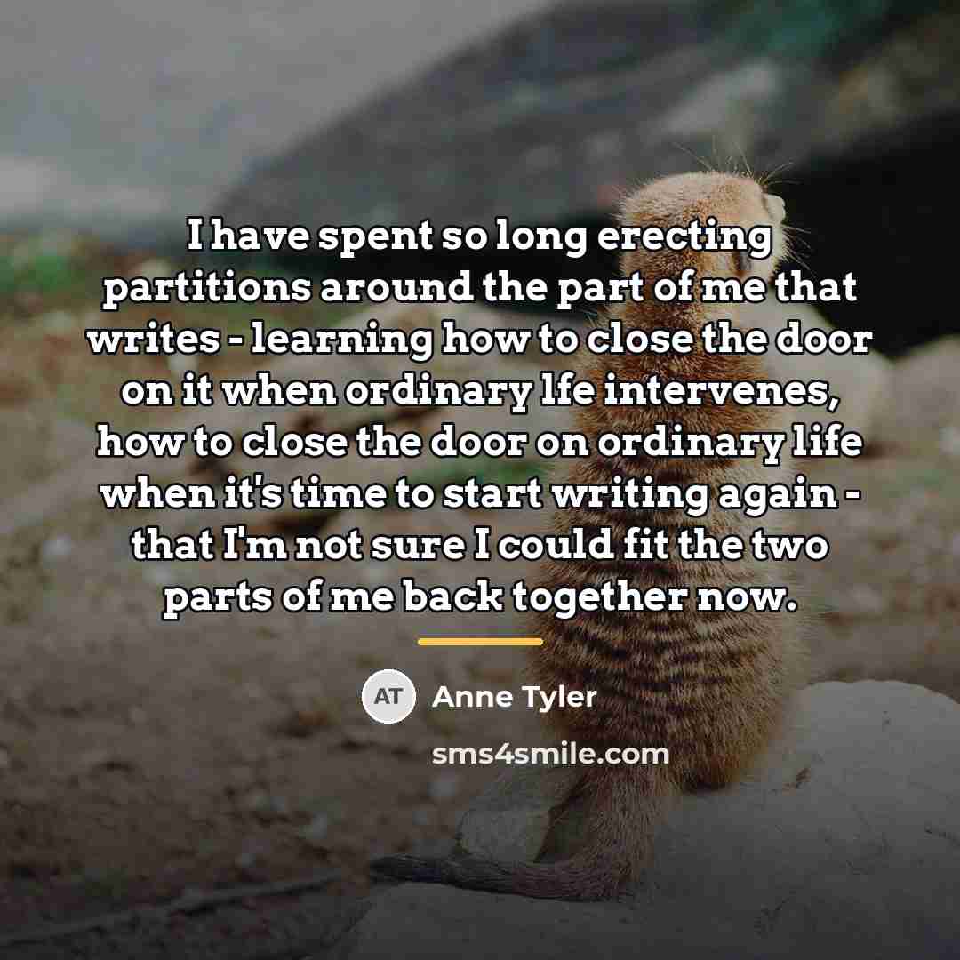 “I have spent so long erecting partitions around the part…” quote by Anne Tyler
