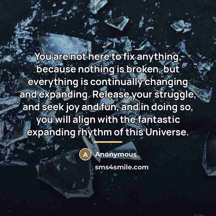 “You are not here to fix anything, because nothing is…” quote by Anonymous