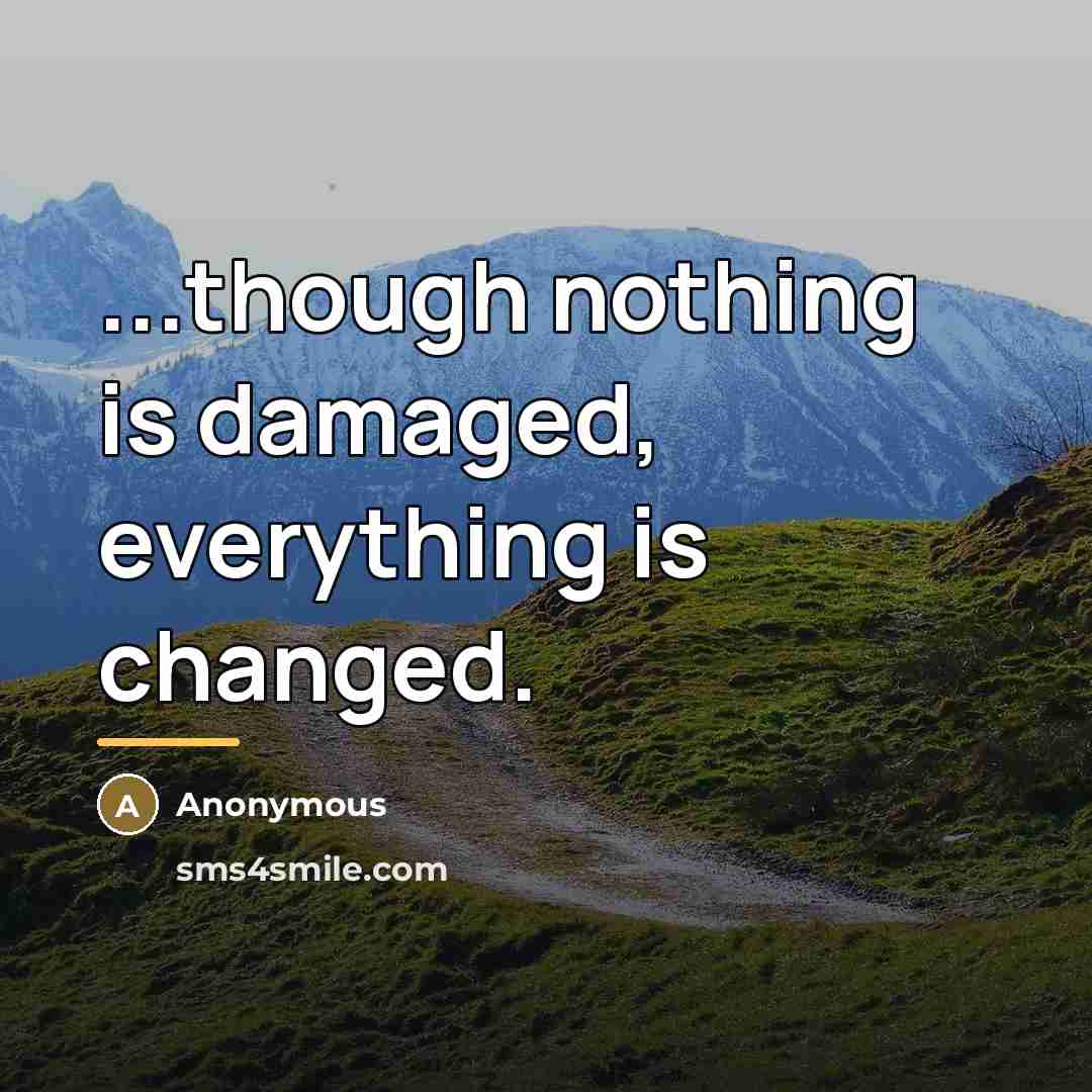 “...though nothing is damaged, everything is changed.…” quote by Anonymous