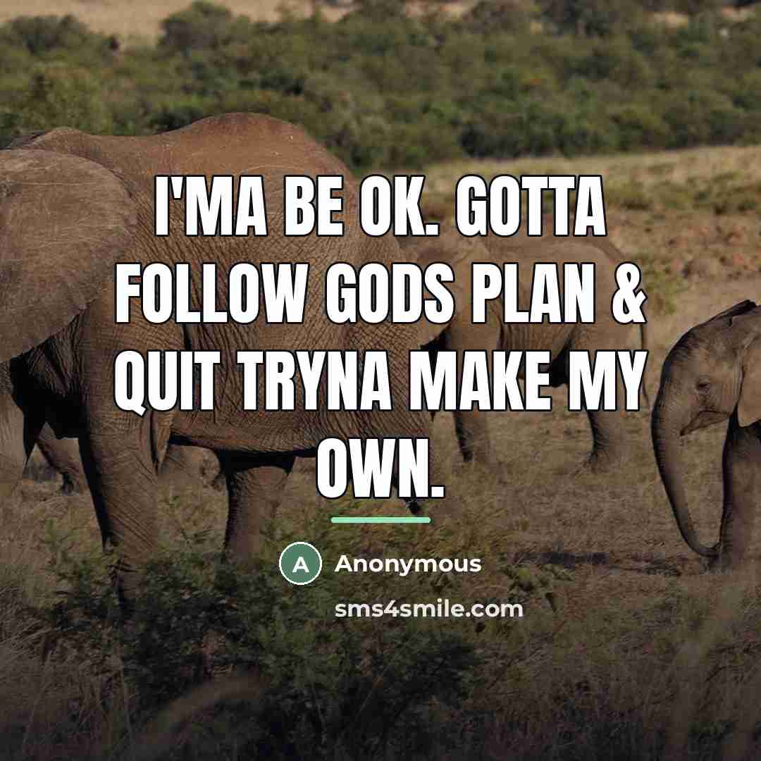 “I'ma be ok. Gotta follow Gods plan & quit tryna…” quote by Anonymous