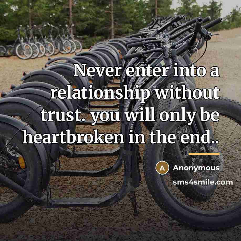 “Never enter into a relationship without trust. you will only…” quote by Anonymous