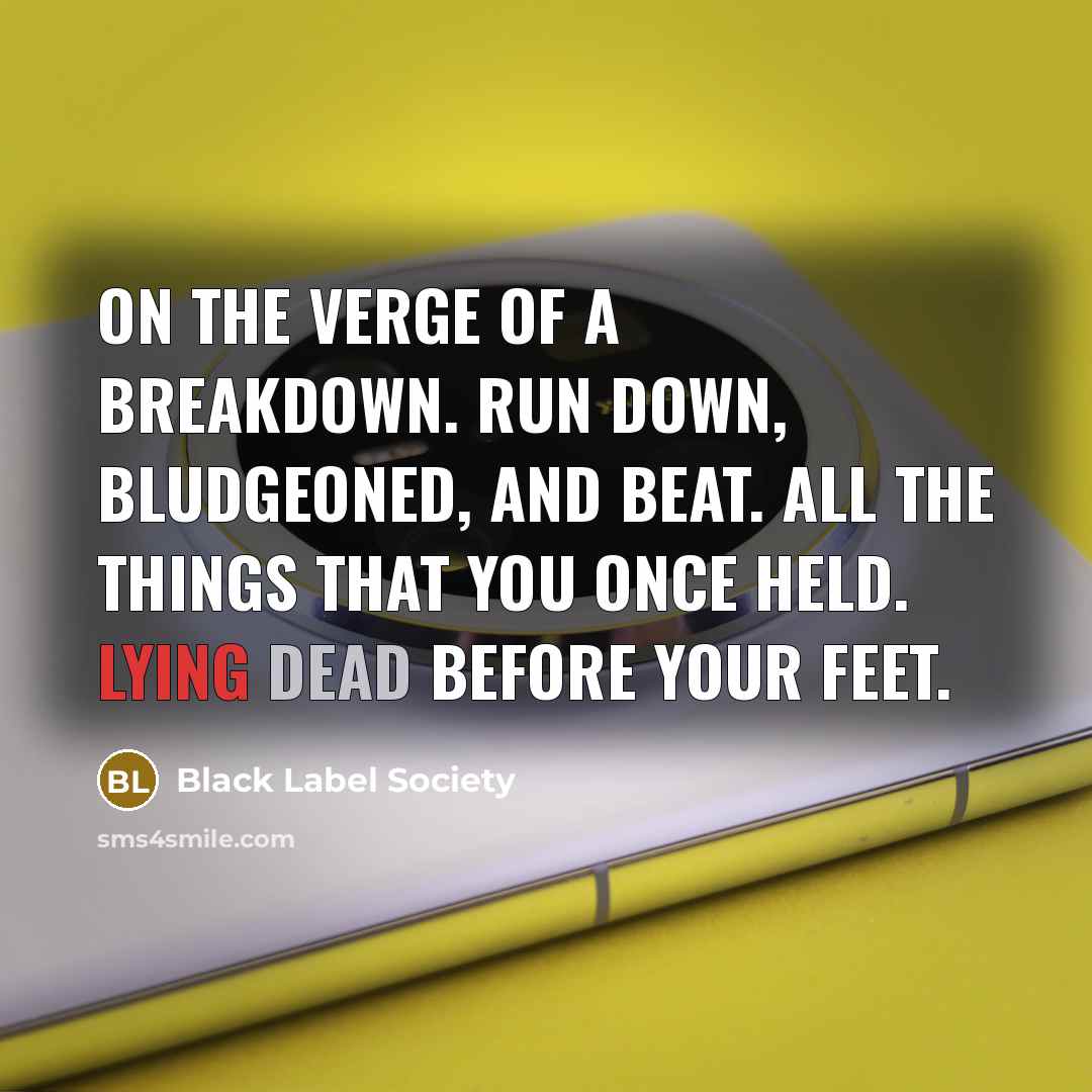 “On the verge of a breakdown. Run down, bludgeoned, and…” quote by Black Label Society