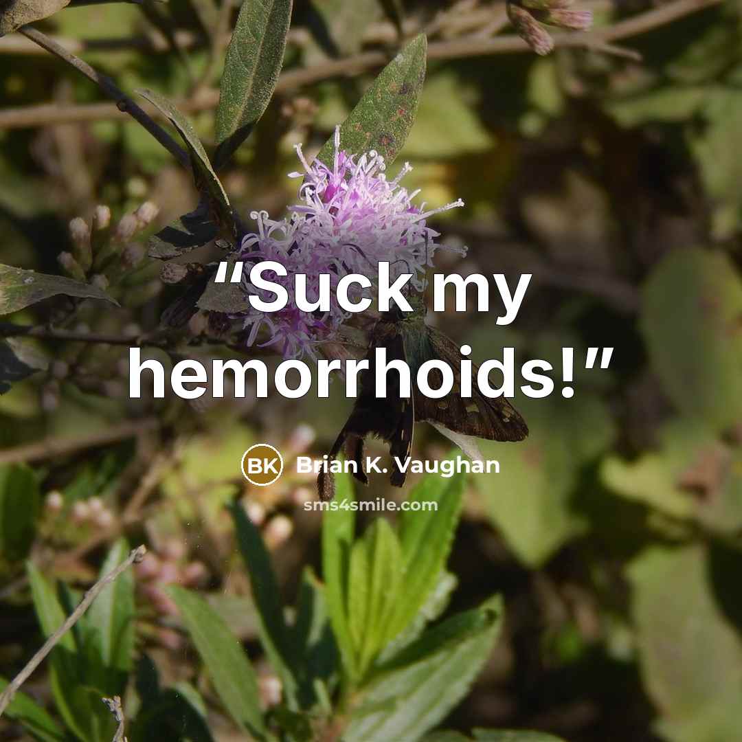 “Suck my hemorrhoids!” quote by Brian K. Vaughan