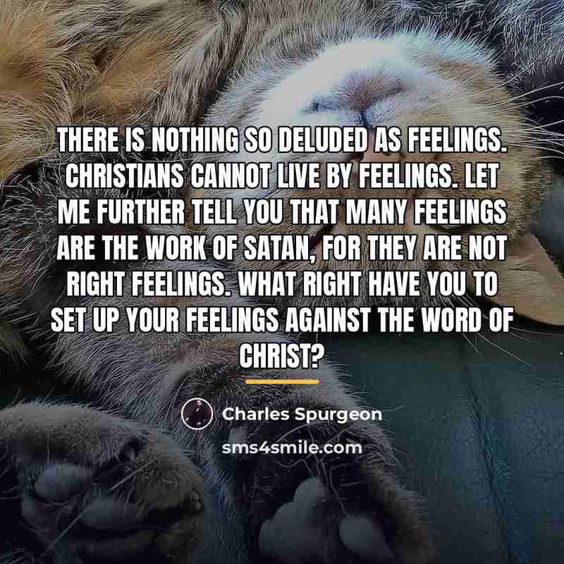 “There is nothing so deluded as feelings. Christians cannot live…” quote by Charles Spurgeon