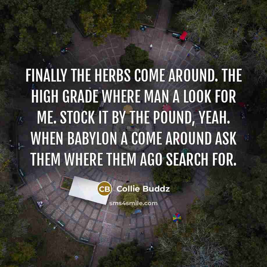 “Finally the herbs come around. The high grade where man…” quote by Collie Buddz