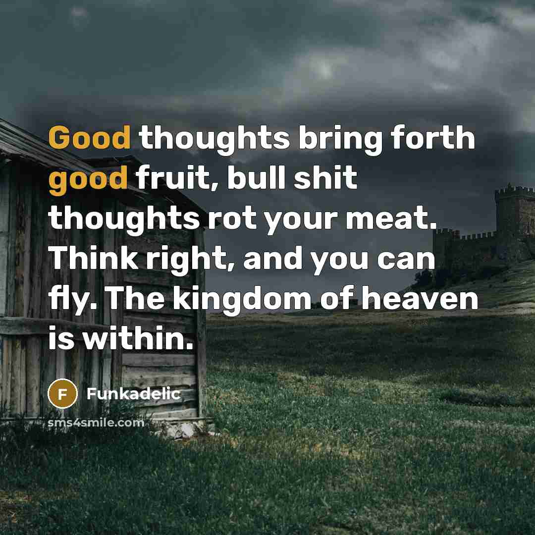 “Good thoughts bring forth good fruit, bull shit thoughts rot your meat. Think right, and you can fly. The kingdom of heaven is within.” quote by Funkadelic