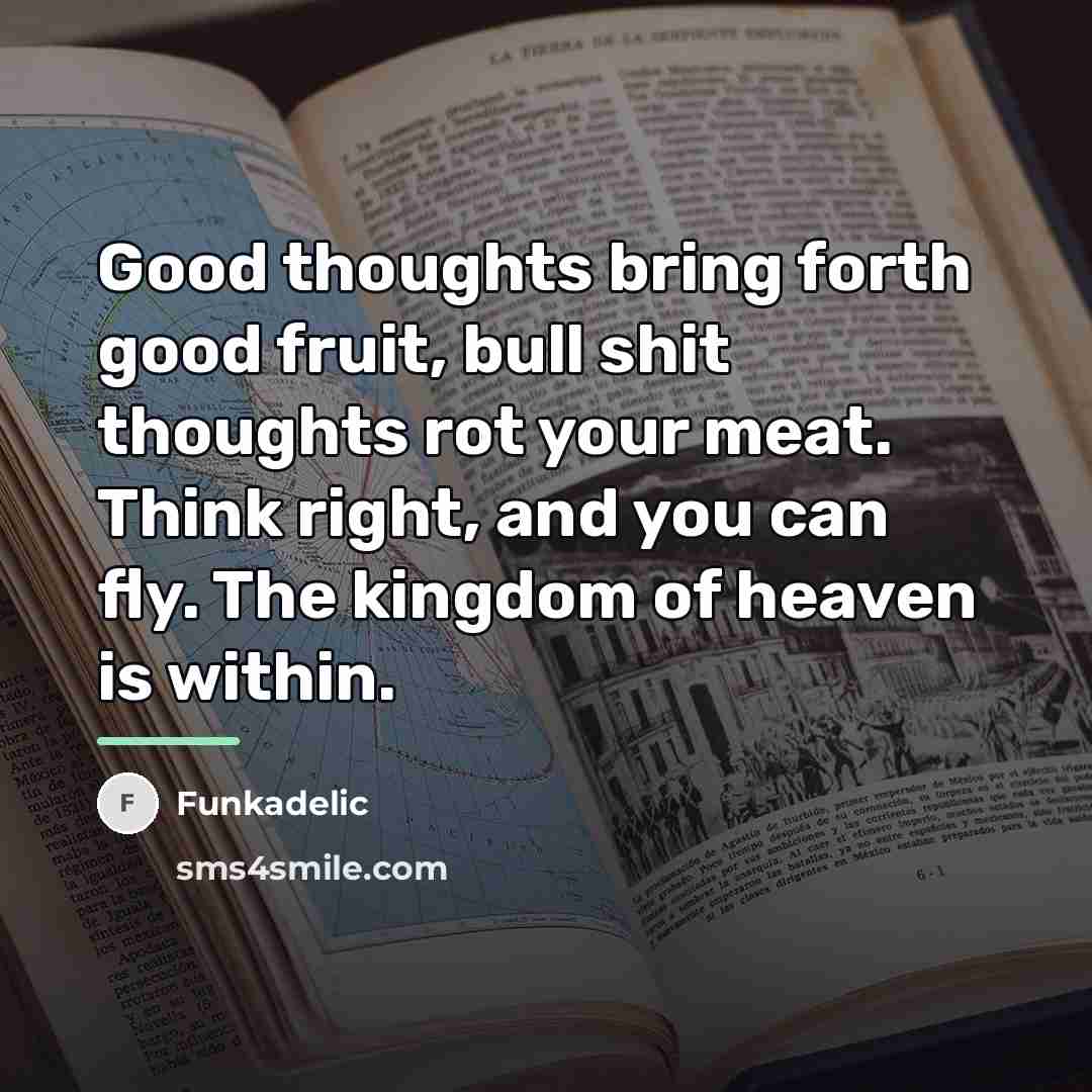 “Good thoughts bring forth good fruit, bull shit thoughts rot…” quote by Funkadelic