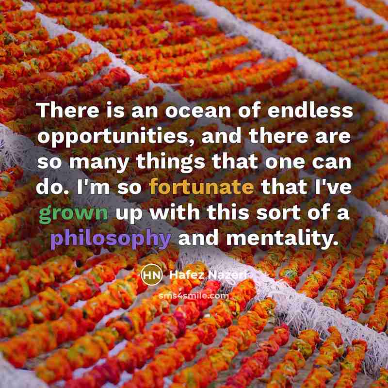 “There is an ocean of endless opportunities, and there are…” quote by Hafez Nazeri