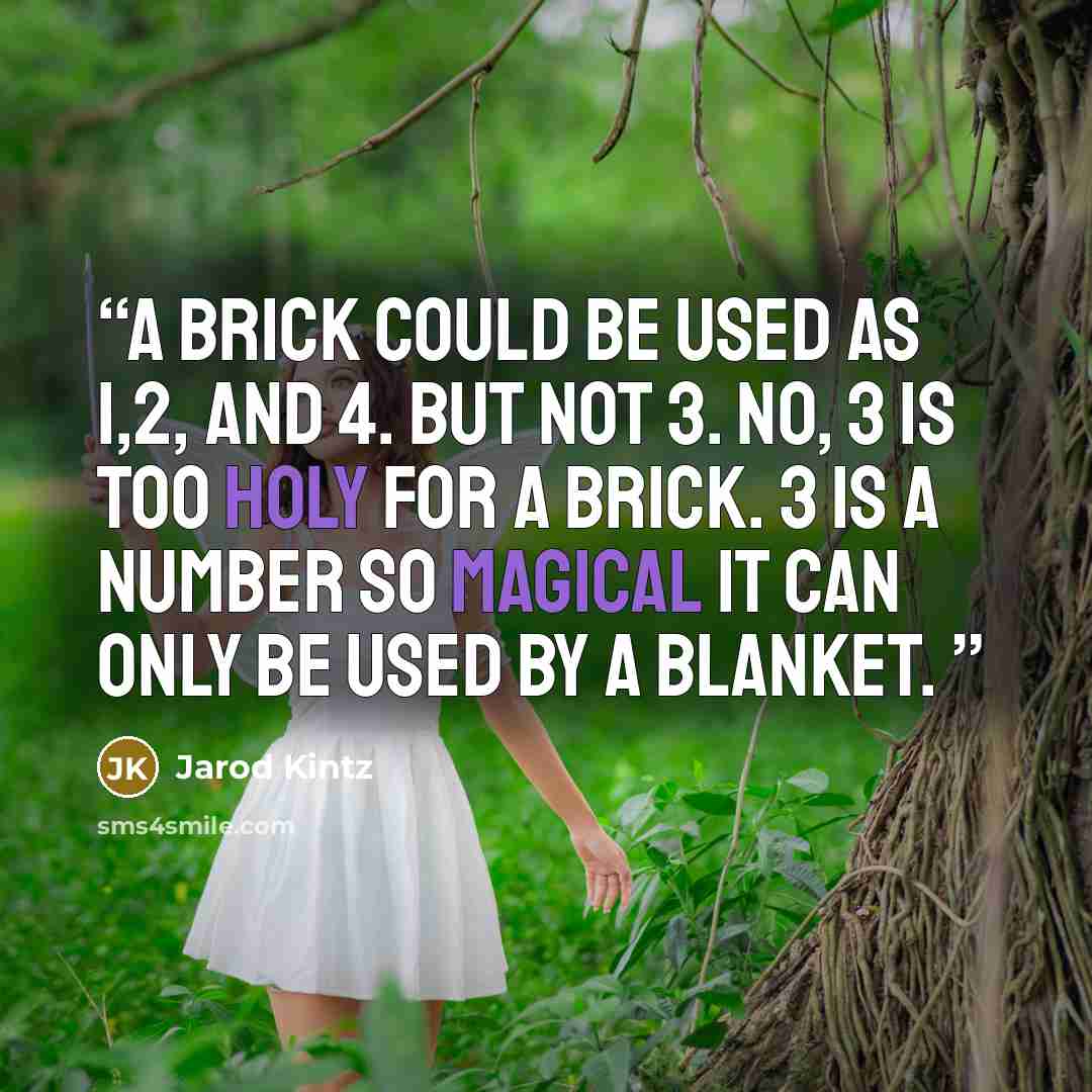 “A brick could be used as 1,2, and 4. But not 3. No, 3 is too holy for a brick. 3 is a number so magical it can only be used by a blanket.” quote by Jarod Kintz
