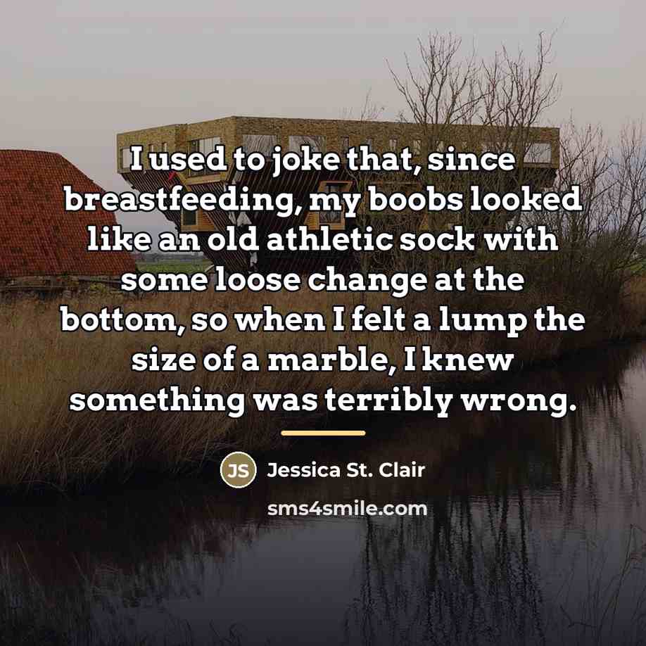 “I used to joke that, since breastfeeding, my boobs looked…” quote by Jessica St. Clair