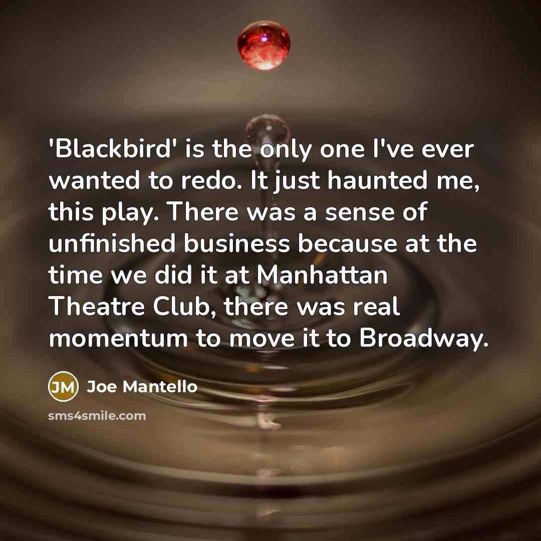 “'Blackbird' is the only one I've ever wanted to redo.…” quote by Joe Mantello