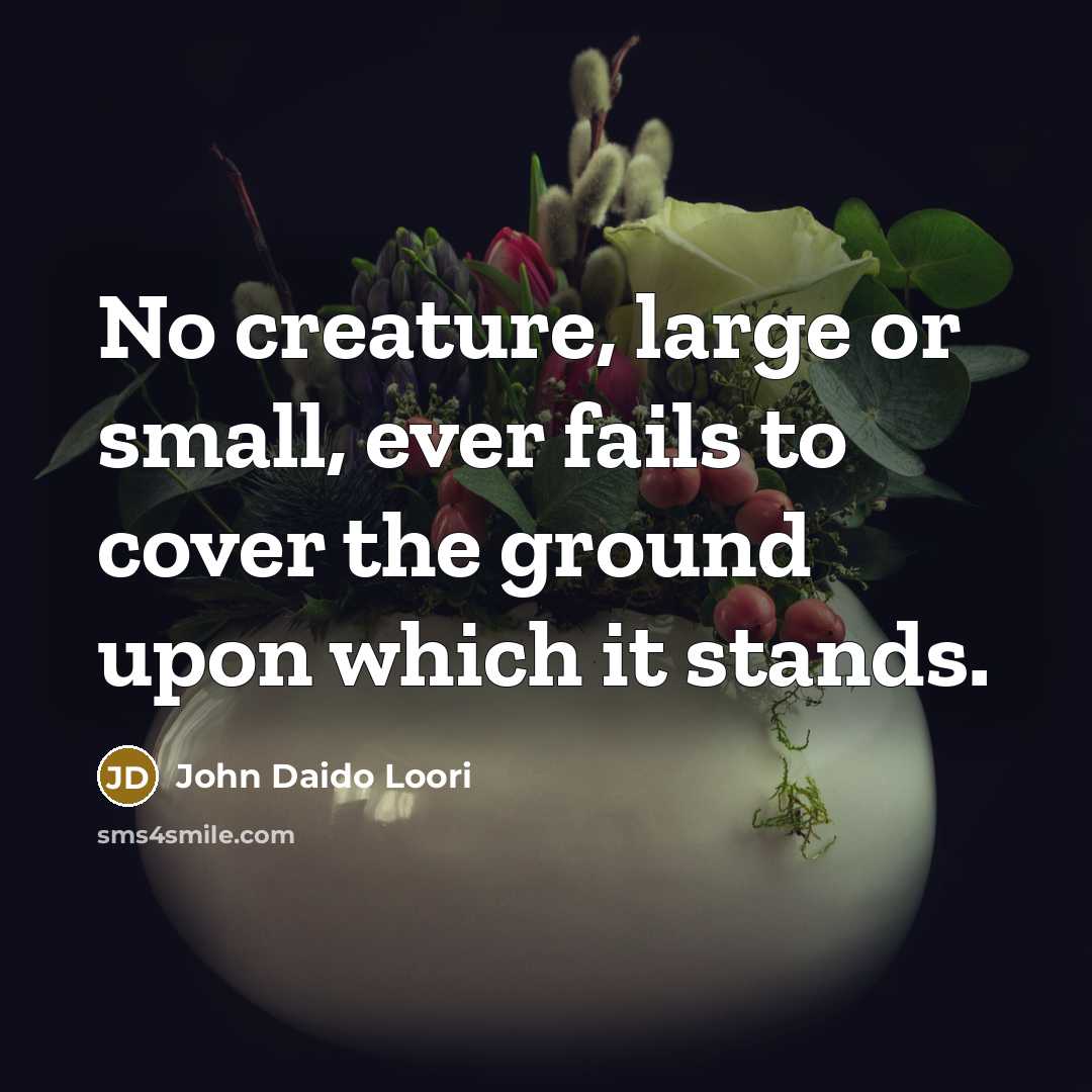 “No creature, large or small, ever fails to cover the…” quote by John Daido Loori