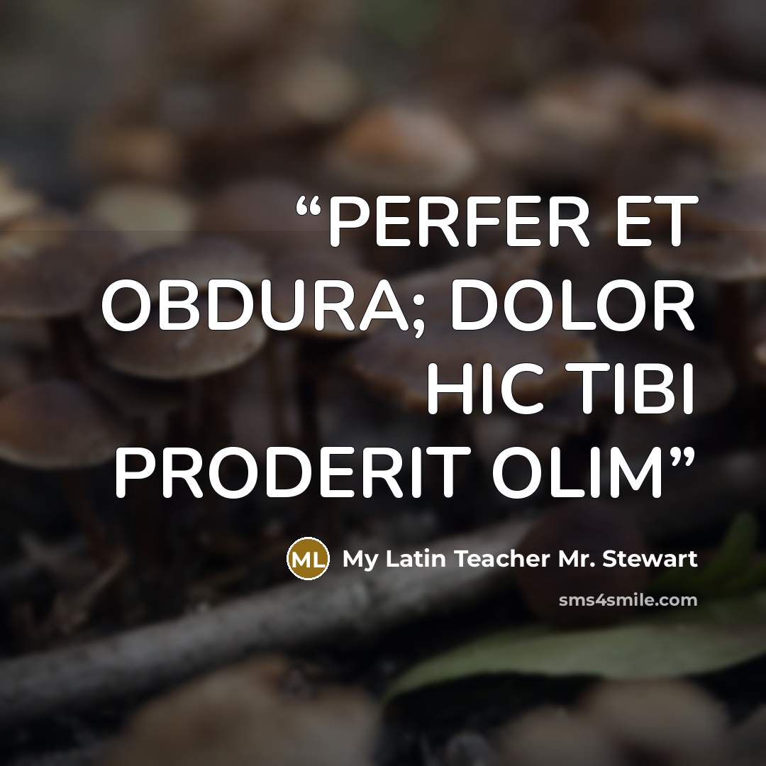 “PERFER ET OBDURA; DOLOR HIC TIBI PRODERIT OLIM” quote by My Latin Teacher Mr. Stewart