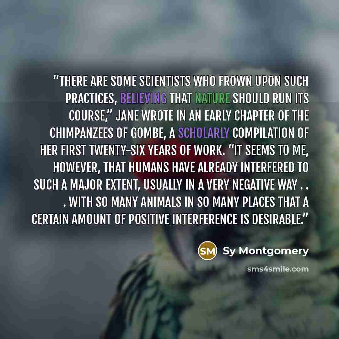 “There are some scientists who frown upon such practices, believing that nature should run its course,” Jane wrote in an early chapter of The Chimpanzees of Gombe, a scholarly compilation of her first twenty-six years of work. “It seems to me, however, that humans have already interfered to such a…” quote by Sy Montgomery