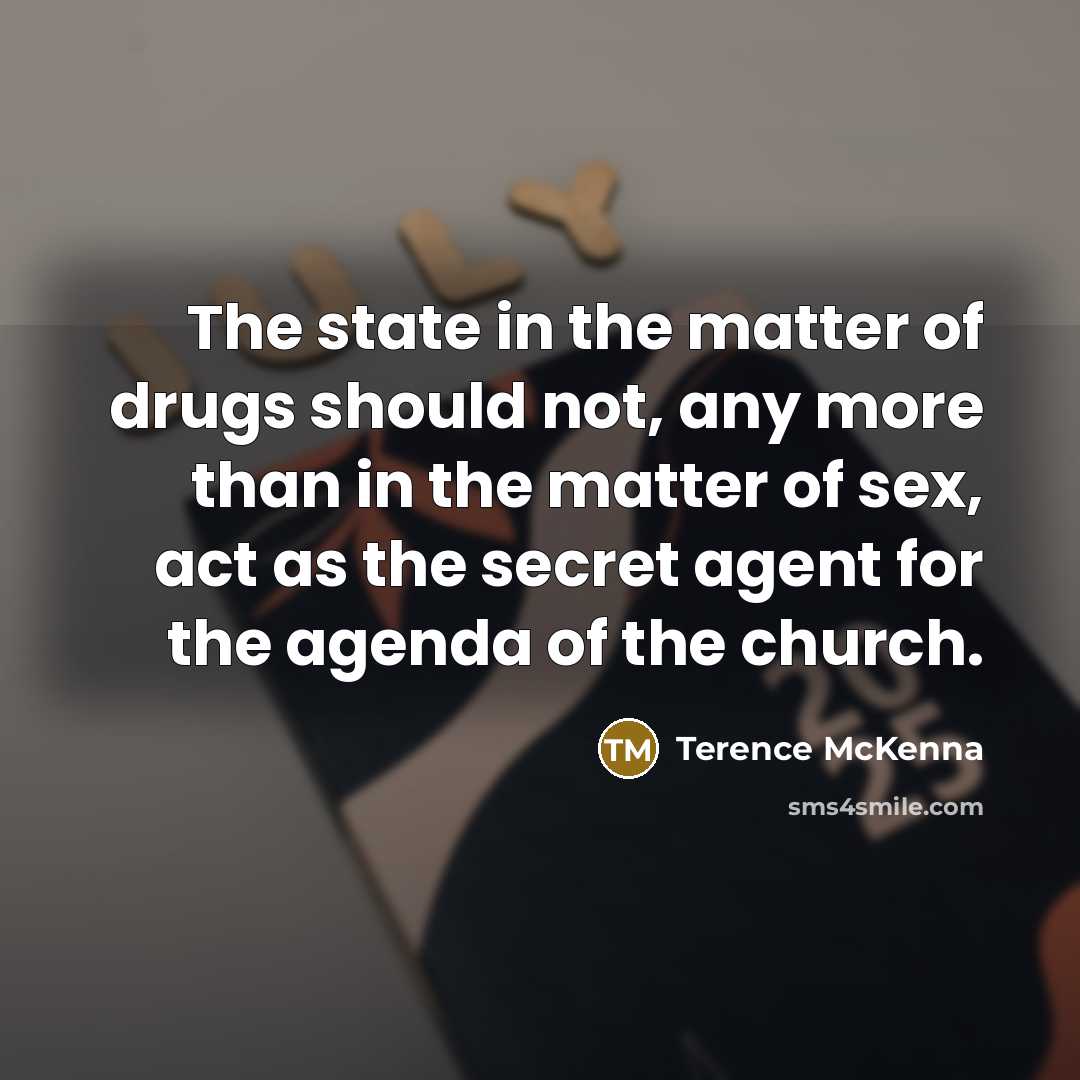 “The state in the matter of drugs should not, any…” quote by Terence McKenna
