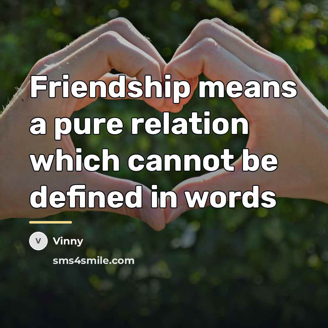 “Friendship means a pure relation which cannot be defined in…” quote by Vinny