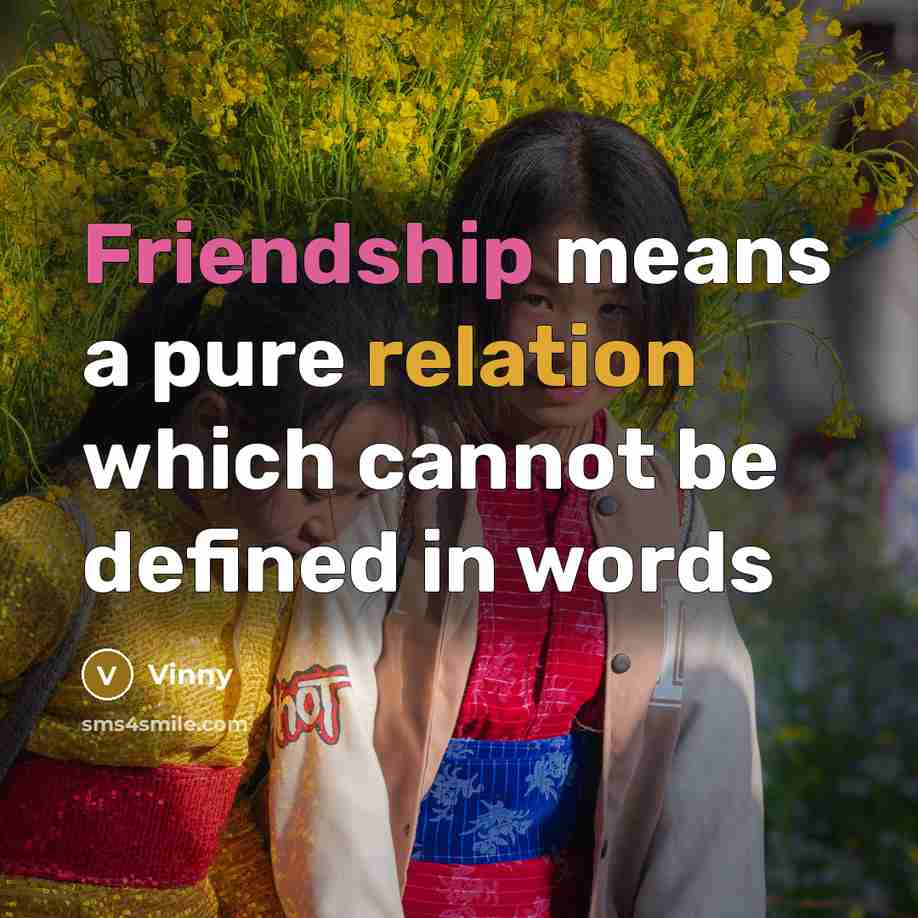“Friendship means a pure relation which cannot be defined in words” quote by Vinny